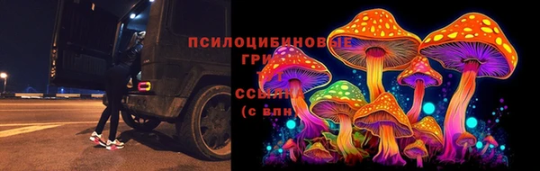 mix Новозыбков